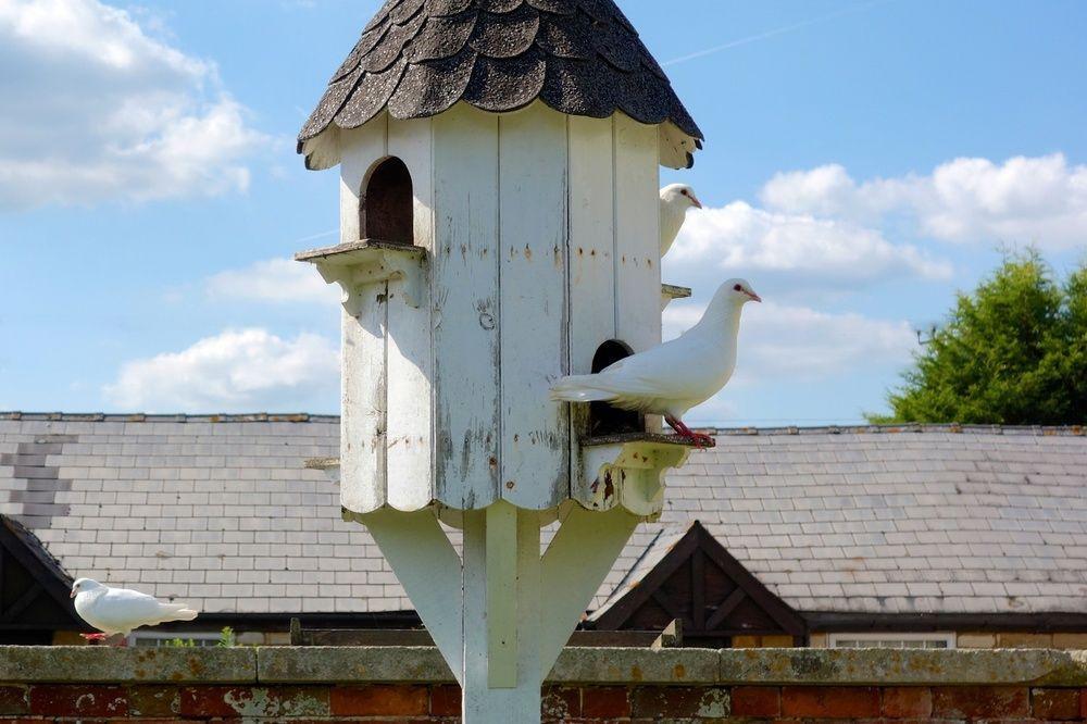 Widbrook Grange Guest House Bradford-On-Avon Bagian luar foto